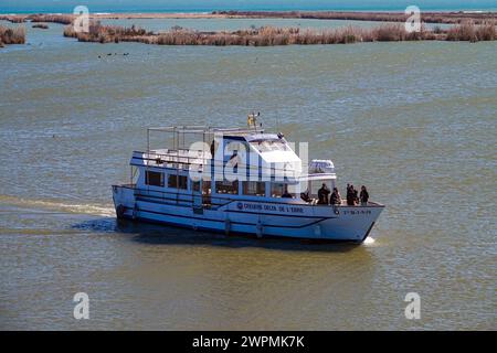 Touristenboot auf dem Fluss am Ebro Delta, Ebro Rives, Riu Ebro, Katalonien, Katalonien, Spanien Stockfoto