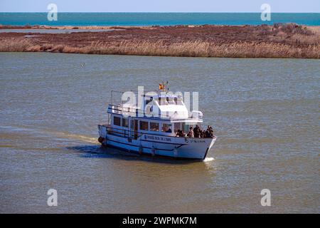 Touristenboot auf dem Fluss am Ebro Delta, Ebro Rives, Riu Ebro, Katalonien, Katalonien, Spanien Stockfoto