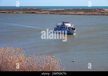 Touristenboot auf dem Fluss am Ebro Delta, Ebro Rives, Riu Ebro, Katalonien, Katalonien, Spanien Stockfoto