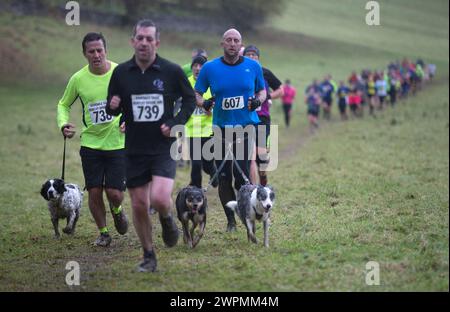 11/16 ***MIT VIDEO*** Trotz der Temperaturen, die kaum über dem Gefrierpunkt stiegen, stellten sich rund 1.400 verrückte Läufer der Cross-Country-Herausforderung einer vier an Stockfoto