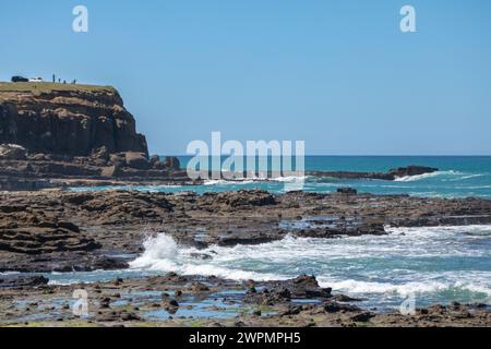 Ein Blick auf den Pazifischen Ozean von einem seltenen versteinerten Wald in der Curio Bay im Southland District im südlichen Neuseeland. Stockfoto