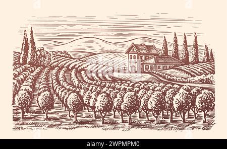 Weinberglandschaft. Weinkellerei, Weinbau Skizze. Handgezeichnete Vintage-Vektor-Illustration Stock Vektor