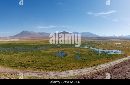 Malerische Feuchtgebiete Vado Rio Putana zwischen San Pedro de Atacama und den Geysiren von El Tatio in der Atacama-Wüste in Chile, Südamerika. Stockfoto