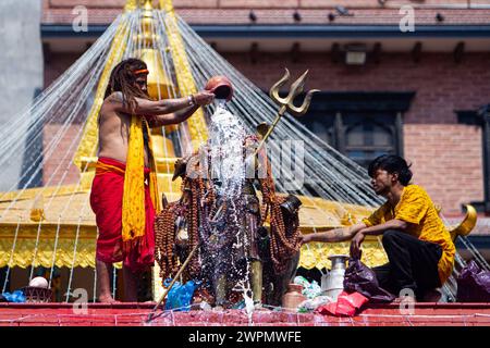 Ein hinduistischer Priester gießt Milch aus, während er Gebete an das Götzen von Lord Shiva im Shiva-Tempel am Tag des Maha Shivaratri in Kathmandu, Nepal, am Freitag, Ma. Anbietet Stockfoto