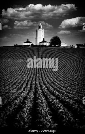 North Foreland Lighthouse Cabbage Field Crop Stockfoto