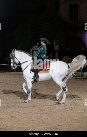 Las Caballerizas Reales de Cordoba (Königliche Ställe von Cordoba) Eine Reiterin in einer grünen Uniform zeigt ihre Reitkünste mit Stockfoto