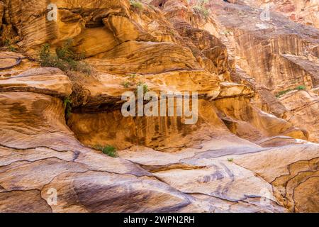 Wanderweg im Wadi Ghuweir in Dana, Jordanien, Nahost, Asien Stockfoto