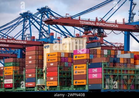 HMM Nuri Containerfrachter am HHLA Containerterminal Burchardkai im Waltershofer Hafen, beladen, Kapazität bis 16000 TEU, Hamburg, Germa Stockfoto