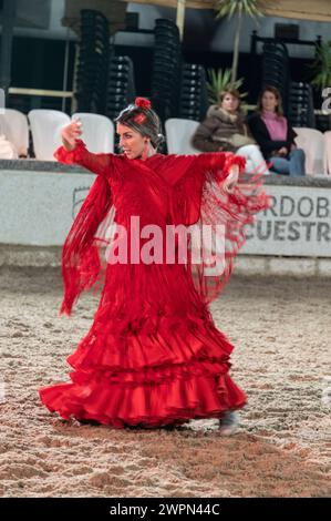 Las Caballerizas Reales de Cordoba (die Königlichen Ställe von Cordoba), Ein Flamenco-Tänzer, der mit einem andalusischen Pferd und Reiter an einem Tanz teilnimmt Stockfoto