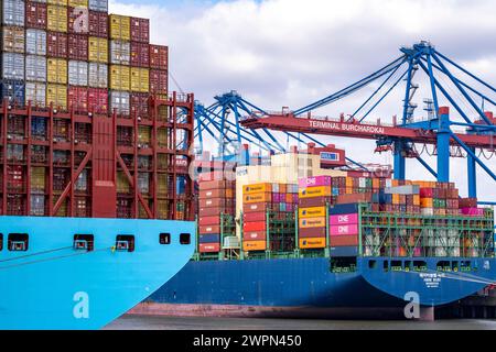Der Containerfrachter Magleby Maersk am EUROGATE Container Terminal im Waltershofer Hafen ist eines der größten Containerschiffe der Welt mit einer Kapazität von Stockfoto