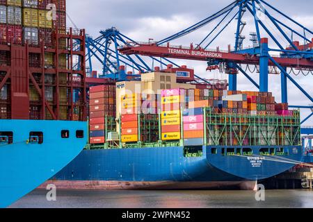 Der Containerfrachter Magleby Maersk am EUROGATE Container Terminal im Waltershofer Hafen ist eines der größten Containerschiffe der Welt mit einer Kapazität von Stockfoto