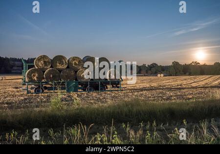 Deutschland, Niedersachsen, Heidekreis, Heuballen am Abend auf Anhänger Stockfoto