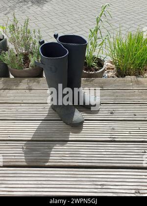 Dreckige Gummistiefel stehen im Sonnenlicht auf der Holzterrasse nach der Gartenarbeit, Kräuter in Töpfen im Hintergrund Stockfoto