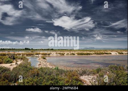 Salzseen auf Mallorca, Salines de Llevant, Cap de SES Salines, bedeutet Quelle von Salz, Halophyten, salzresistenten Pflanzen Stockfoto