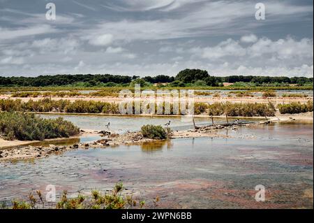 Salzseen auf Mallorca, Salines de Llevant, Cap de SES Salines, bedeutet Salzquelle, Naturschutzgebiet für Vögel Stockfoto