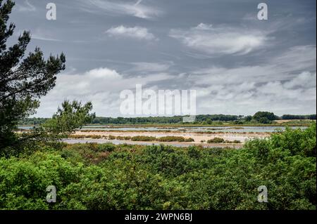 Salzseen auf Mallorca, Salines de Llevant, Cap de SES Salines, bedeutet Quelle von Salz, Halophyten, salzresistenten Pflanzen Stockfoto