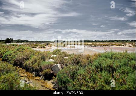 Salzseen auf Mallorca, Salines de Llevant, Cap de SES Salines, bedeutet Quelle von Salz, Wasserlauf, Halogen, salzresistenten Pflanzen Stockfoto