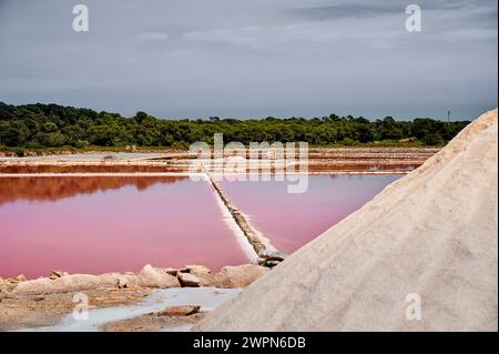 Salzsee auf Mallorca, Salines de s'Avall, Cap de SES Salines, bedeutet Salzquelle, Salzbecken für die Gewinnung von Flor de Sal und Salzkippe, Halobakterium färbt das Wasser rot Stockfoto