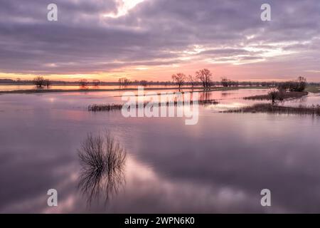 Überflutete Elbwiesen bei Sonnenaufgang in Radegast/Bleckede in der Elbtalaue Stockfoto