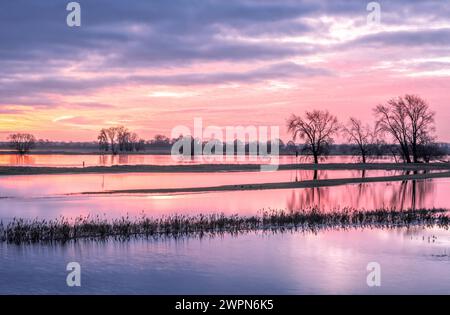 Überflutete Elbwiesen bei Sonnenaufgang in Radegast/Bleckede in der Elbtalaue Stockfoto