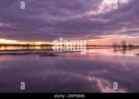 Überflutete Elbwiesen bei Sonnenaufgang in Radegast/Bleckede in der Elbtalaue Stockfoto