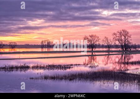 Überflutete Elbwiesen bei Sonnenaufgang in Radegast/Bleckede in der Elbtalaue Stockfoto