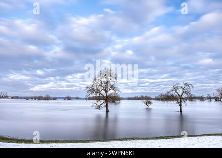 Überflutete Elblandschaft in Bleckede/Radegast Stockfoto