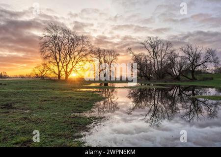 Überflutete Elbwiesen bei Sonnenaufgang in Radegast/Bleckede in der Elbtalaue Stockfoto