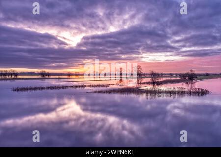 Überflutete Elbwiesen bei Sonnenaufgang in Radegast/Bleckede in der Elbtalaue Stockfoto