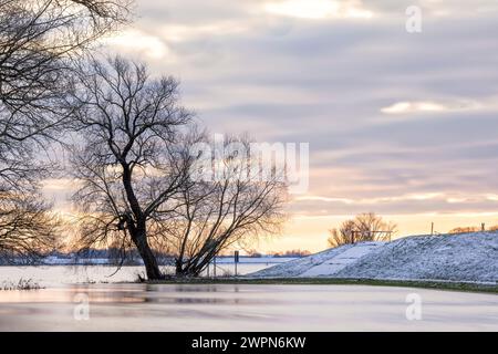 Überflutete Elblandschaft in Bleckede/Radegast Stockfoto