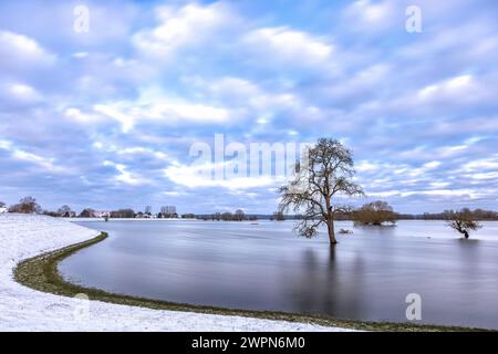 Überflutete Elblandschaft in Bleckede/Radegast Stockfoto