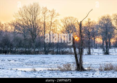 Sonnenaufgang an einem frostigen Wintermorgen über den schneebedeckten Feldern der Elbtalaue bei Wendewisch/Bleckede Stockfoto