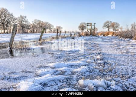Morgens auf einer gefrorenen und schneebedeckten Wiese in der Elbaue bei Wendewisch, wo sich ein kleiner Jägerstand befindet Stockfoto