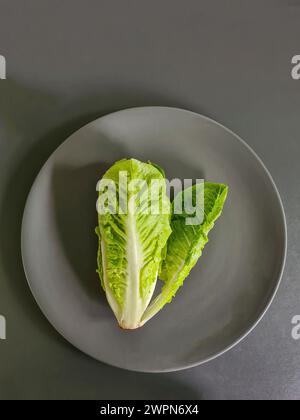 Salatherz, kleiner Römersalat, ganze grüne Salatblätter auf einem grauen Teller Stockfoto