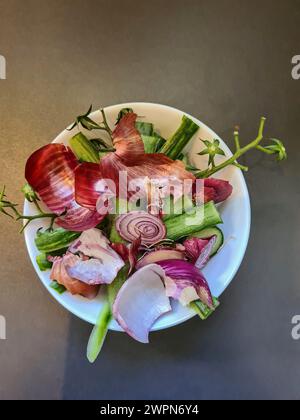 Übrig gebliebene rote Zwiebelschalen und Grünpflanzen in einer weißen Schüssel als Stillleben Stockfoto