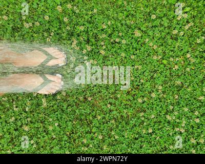 Damenfüße in Flip-Flops mit erfrischendem Wasserstrahl zum Abkühlen, grüner Rasen mit Shamrocks Stockfoto