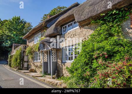 Reetdachhaus, Godshill, Isle of Wight, Hampshire, Großbritannien, England Stockfoto