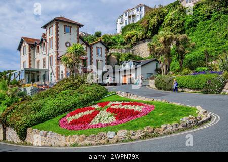 Blumenrand an einem Hang im Badeort Ventnor, Isle of Wight, Hampshire, Großbritannien, England Stockfoto