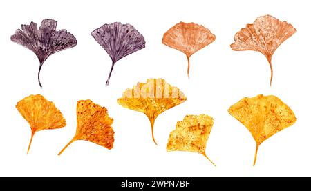 Design moderner Blattdruck von Biloba. Blätter in goldenen, braunen Farben. Gingko-Blatt. Ginkgo, Palme, trockene abstrakte Fächerblätter. Aquarellabbildung Stockfoto