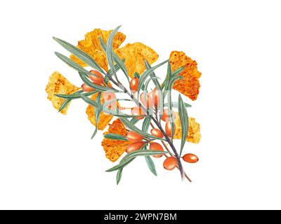 Goldene Gingko-Blätter und orangefarbener Sanddorn. Bouquet mit Reifen Beeren und Biloba-Zweig. Aquarellabbildung für die Gestaltung der Einladung Stockfoto