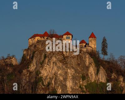 Die Burg Bled, ursprünglich Veldes Castle genannt, ist eine mittelalterliche Burg auf einem Hügel in der Nähe der slowenischen Stadt Bled. Sie erhebt sich auf einem 139 Meter hohen Felsen über dem Bleder See und gilt als älteste Burg Sloweniens. Stockfoto