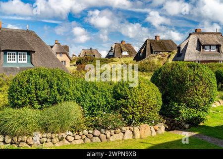 Reetdachhäuser in der Nähe der Insel Sylt, Nordfriesland, Schleswig-Holstein, Deutschland, Europa Stockfoto