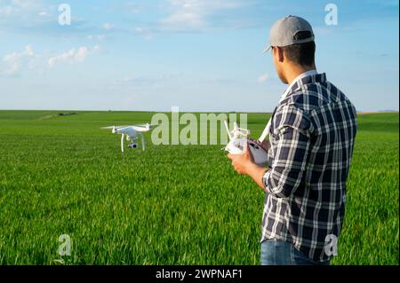 Moderne Technologien in der Landwirtschaft. Ein Bauer, der eine Drohne über ein junges Weizenfeld fliegt. Hochwertige Fotos Stockfoto