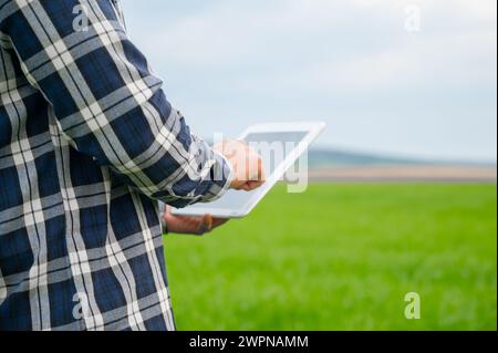 Nahaufnahme eines Bauern las oder analysierte einen Bericht auf einem Tablet-Computer auf einem grünen Ackerfeld. Hochwertige Fotos Stockfoto