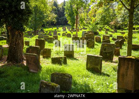 Jüdischer Friedhof in Worms Stockfoto