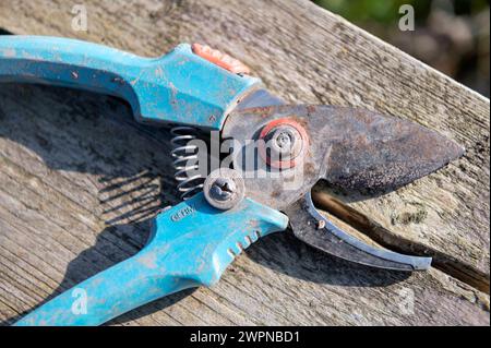 Amsterdam Niederlande 8. März 2024 Gartenarbeit. Benutzte Gardena Schere mit Gebrauchsspuren. Hergestellt in Deutschland. Werkzeug, Werkzeuge, Klinge, Schneide Stockfoto