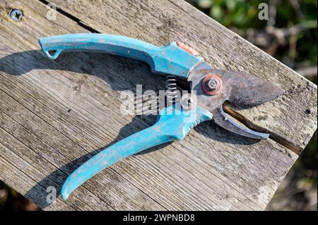 Amsterdam Niederlande 8. März 2024 Gartenarbeit. Benutzte Gardena Schere mit Gebrauchsspuren. Hergestellt in Deutschland. Werkzeug, Werkzeuge, Klinge, Schneide Stockfoto