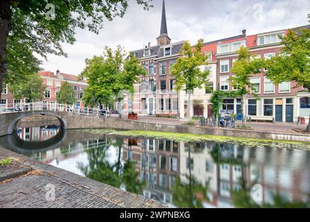 Het Noorden, Oude Gracht, Kanal, Wasser, Brücke, Reflexion, historische Altstadt, Architektur, Aussicht, Delft, Niederlande, Stockfoto