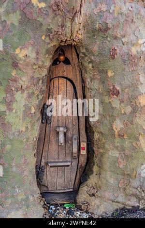 Feentür in einem Baum am St Thomas's Square, Monmouth, Monmouthshire Wales: Phillip Roberts Stockfoto