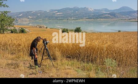 Ein Kameramann filmt einen Dokumentarfilm auf dem See. Gelbliche Ähren von Weizen auf dem Feld. See Yarışlı, Burdur, Türkei. Stockfoto